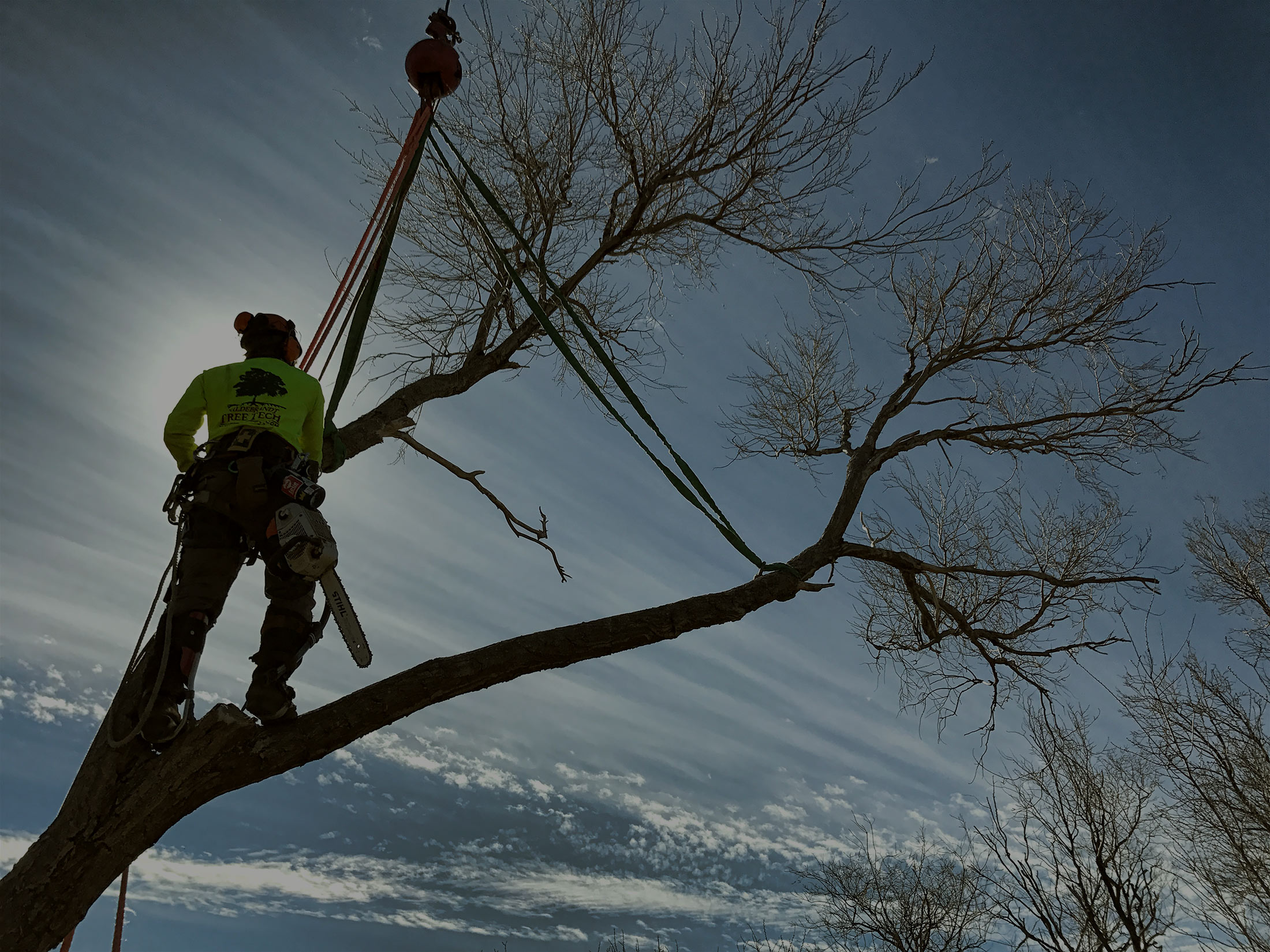 tree-trimming-lubbock Best Tree Trimming Lubbock