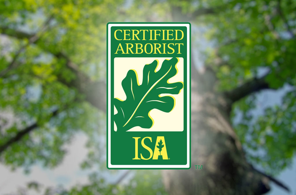 When Should I Call an ISA Certified Arborist?