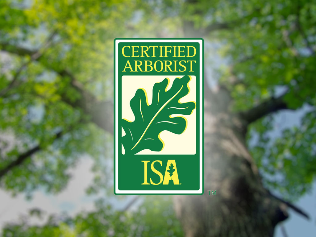 When Should I Call an ISA Certified Arborist?