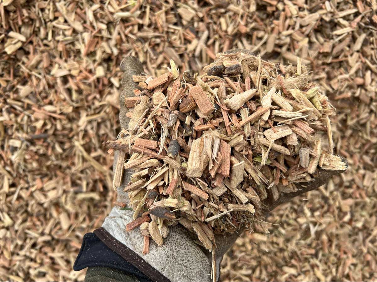 Mulch Is the Key to Healthier and Happier Trees